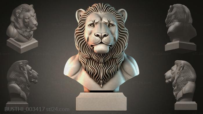 BUSTHI_003417 3d STL model