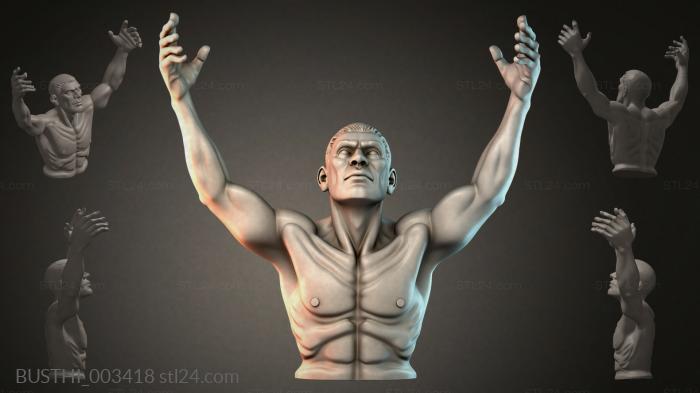 BUSTHI_003418 3d STL model