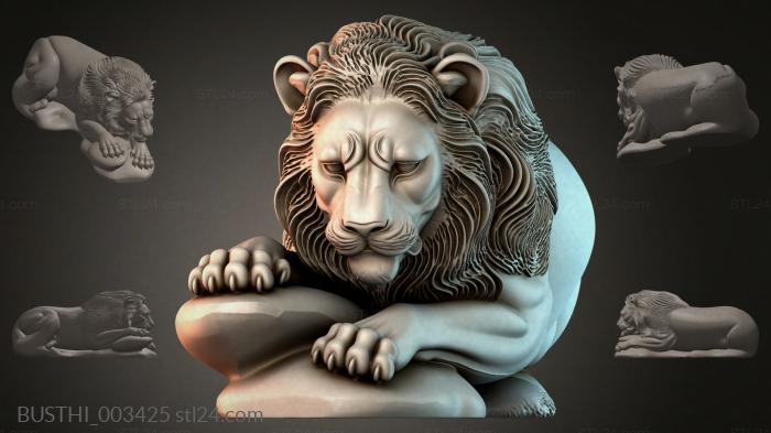 BUSTHI_003425 3d STL model