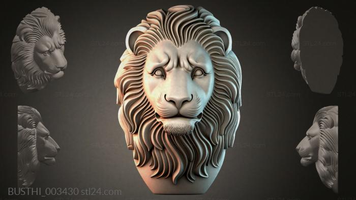 BUSTHI_003430 3d STL model
