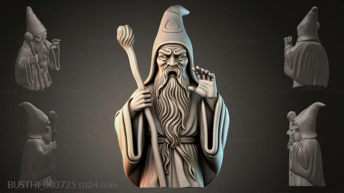 Бюсты монстры (BUSTHI_003725) 3D модель для ЧПУ станка