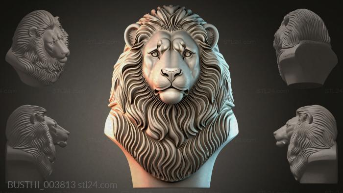 BUSTHI_003813 3d STL model
