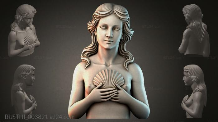 BUSTHI_003821 3d STL model