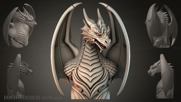 BUSTHI_003830 3d STL model