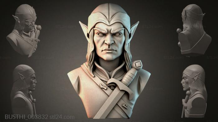 BUSTHI_003832 3d STL model