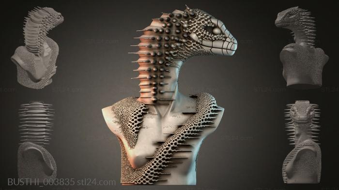 BUSTHI_003835 3d STL model