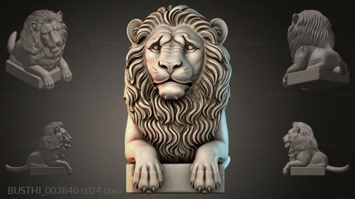 BUSTHI_003840 3d STL model