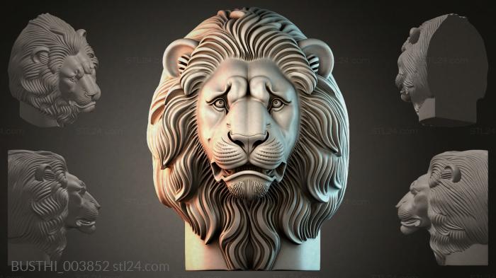 BUSTHI_003852 3d STL model