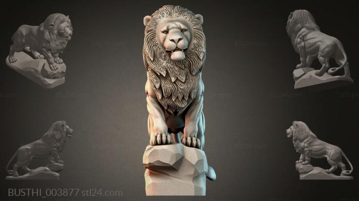 BUSTHI_003877 3d STL model