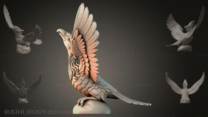 BUSTHI_003879 3d STL model