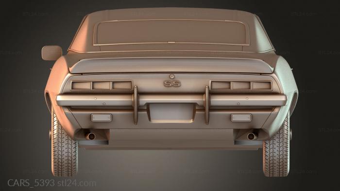 CARS_5393