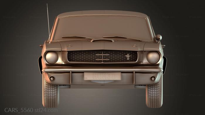CARS_5560