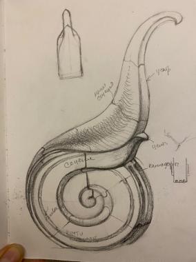 Element (The leg is carved, OEL_0189) 3D models for cnc