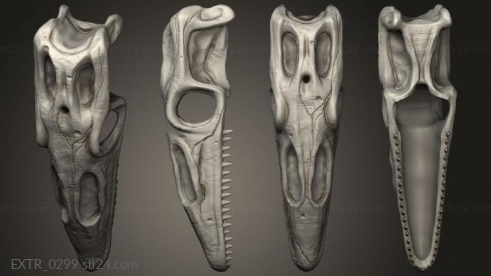 Exteriors (lizard skull 3, EXTR_0299) 3D models for cnc