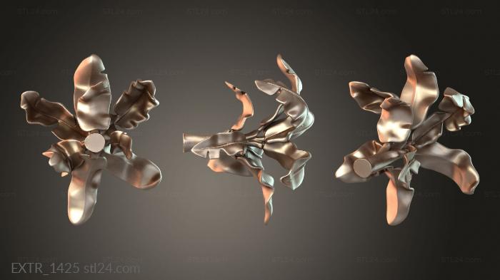 EXTR_1425
