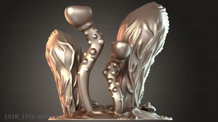 EXTR_1756