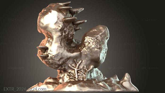 EXTR_2026