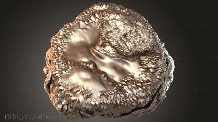 EXTR_2253