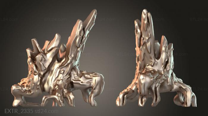 EXTR_2335