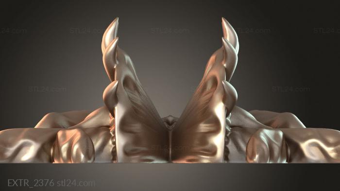 EXTR_2376
