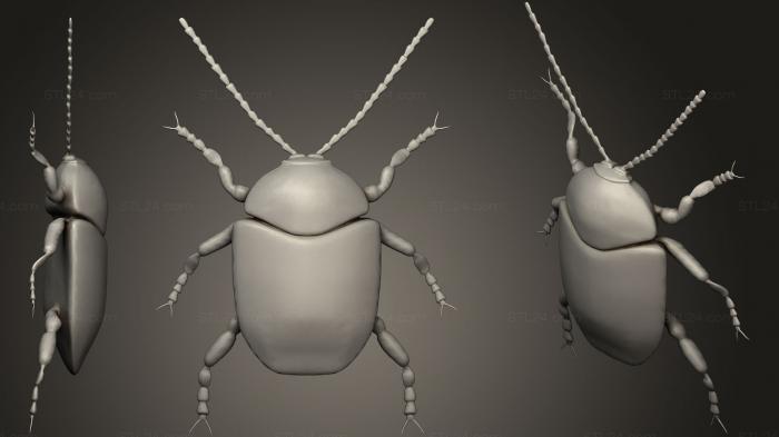 Насекомые (Десятипятнистый горшечный жук, INSCT_0031) 3D модель для ЧПУ станка
