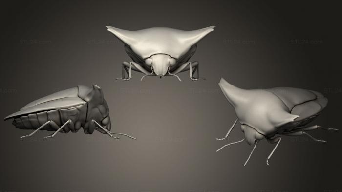 Насекомые (Жуки-насекомые 10168, INSCT_0062) 3D модель для ЧПУ станка