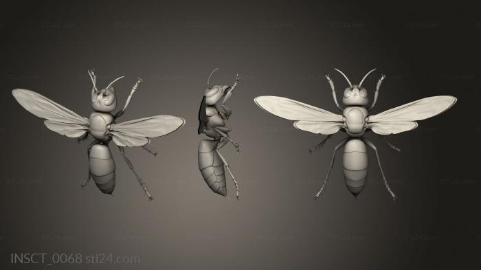 Insects (insects beetle, INSCT_0068) 3D models for cnc