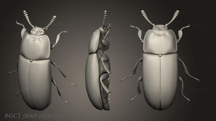 Insects (insects beetle, INSCT_0069) 3D models for cnc