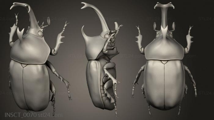 Insects (insects beetle, INSCT_0070) 3D models for cnc