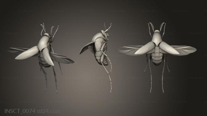 Insects (insects beetle, INSCT_0074) 3D models for cnc