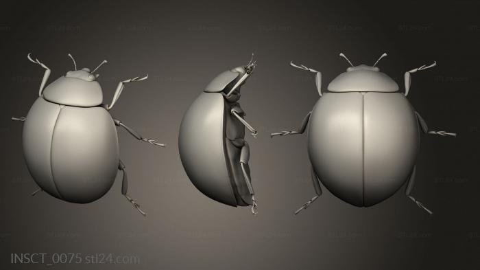 Insects (insects beetle, INSCT_0075) 3D models for cnc