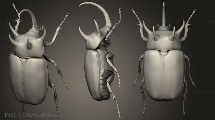 Insects (insects beetle, INSCT_0076) 3D models for cnc