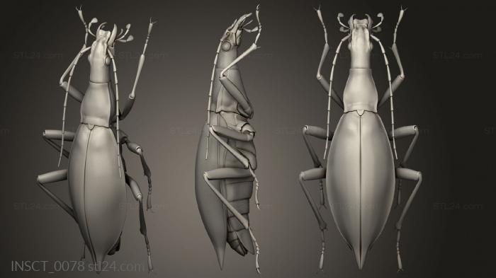 Insects (insects beetle, INSCT_0078) 3D models for cnc