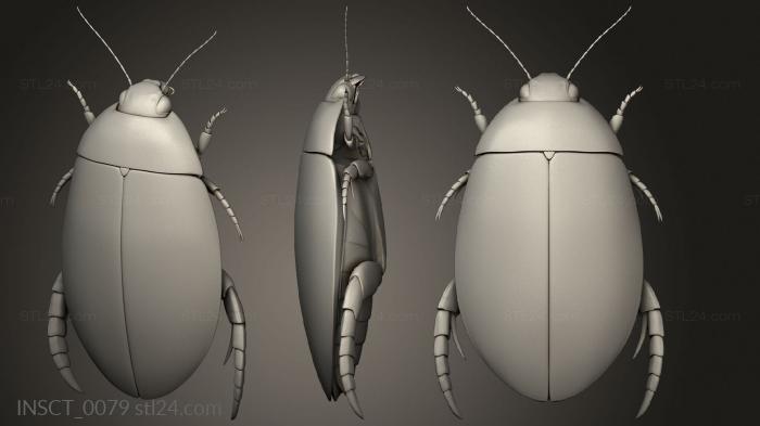 Insects (insects beetle, INSCT_0079) 3D models for cnc