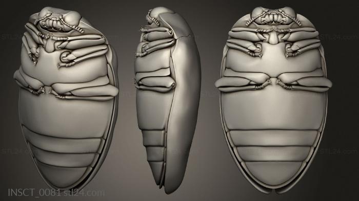 Insects (insects beetle, INSCT_0081) 3D models for cnc