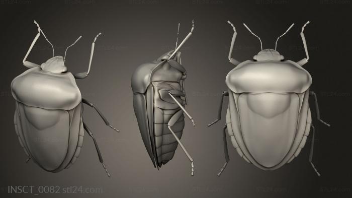 Insects (insects beetle, INSCT_0082) 3D models for cnc