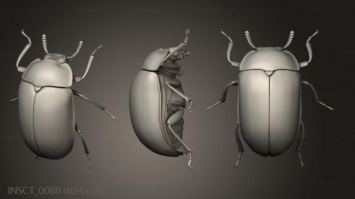 Insects (insects beetle, INSCT_0088) 3D models for cnc
