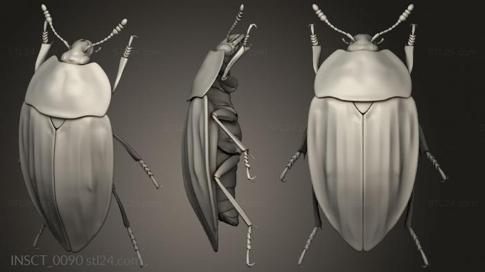 Insects (insects beetle, INSCT_0090) 3D models for cnc