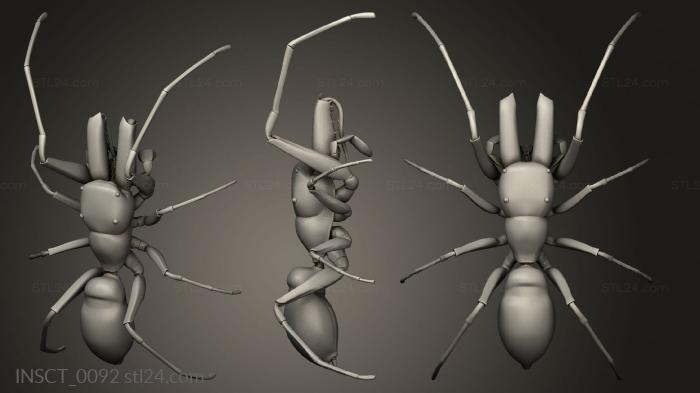 Insects (insects beetle, INSCT_0092) 3D models for cnc