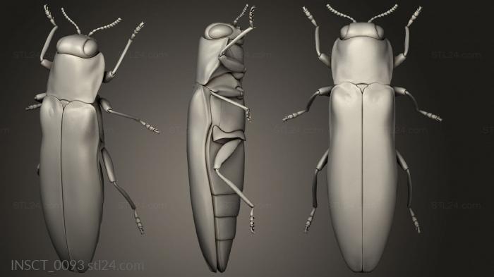 Insects (insects beetle, INSCT_0093) 3D models for cnc