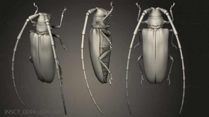 Insects (insects beetle, INSCT_0094) 3D models for cnc