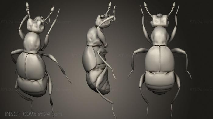 Insects (insects beetle, INSCT_0095) 3D models for cnc