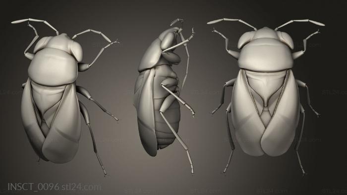 Insects (insects beetle, INSCT_0096) 3D models for cnc