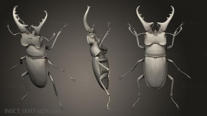 Insects (insects beetle, INSCT_0097) 3D models for cnc