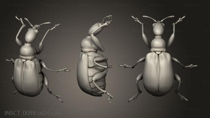 Insects (insects beetle, INSCT_0098) 3D models for cnc