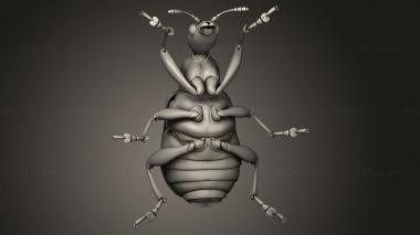 Insects (insects beetle, INSCT_0098) 3D models for cnc