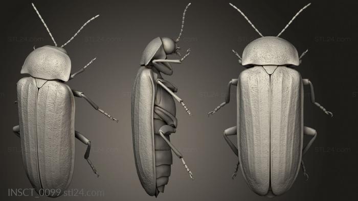 Insects (insects beetle, INSCT_0099) 3D models for cnc