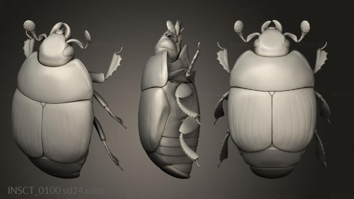 Insects (insects beetle, INSCT_0100) 3D models for cnc