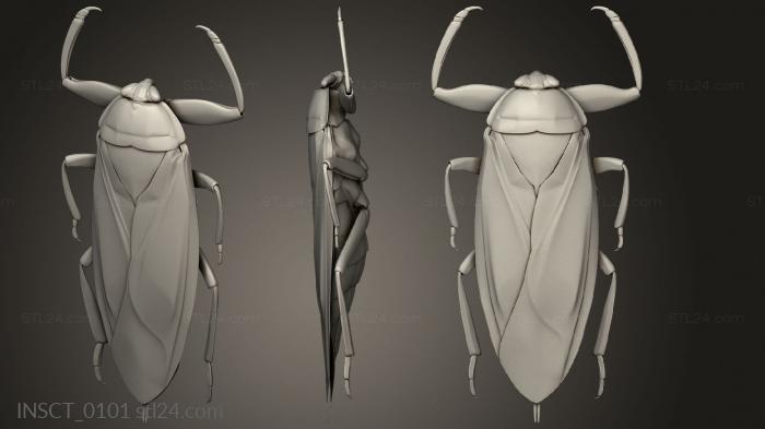 Insects (insects beetle, INSCT_0101) 3D models for cnc