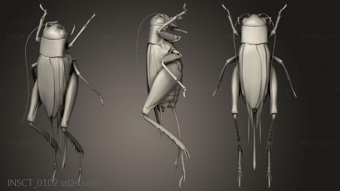 Insects (insects beetle, INSCT_0102) 3D models for cnc